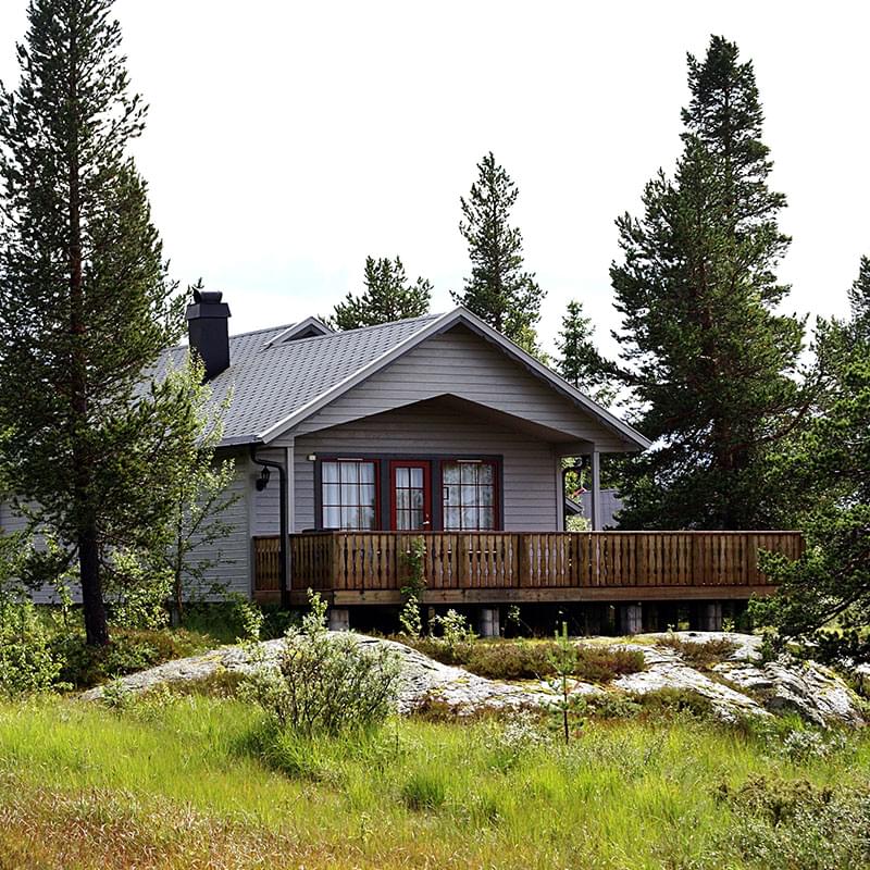 imagen sección vive